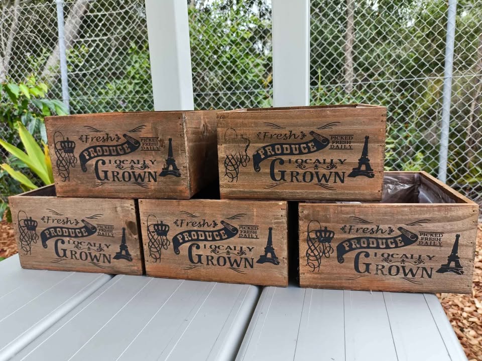 614233146_889720176920563_937236546176020232_n