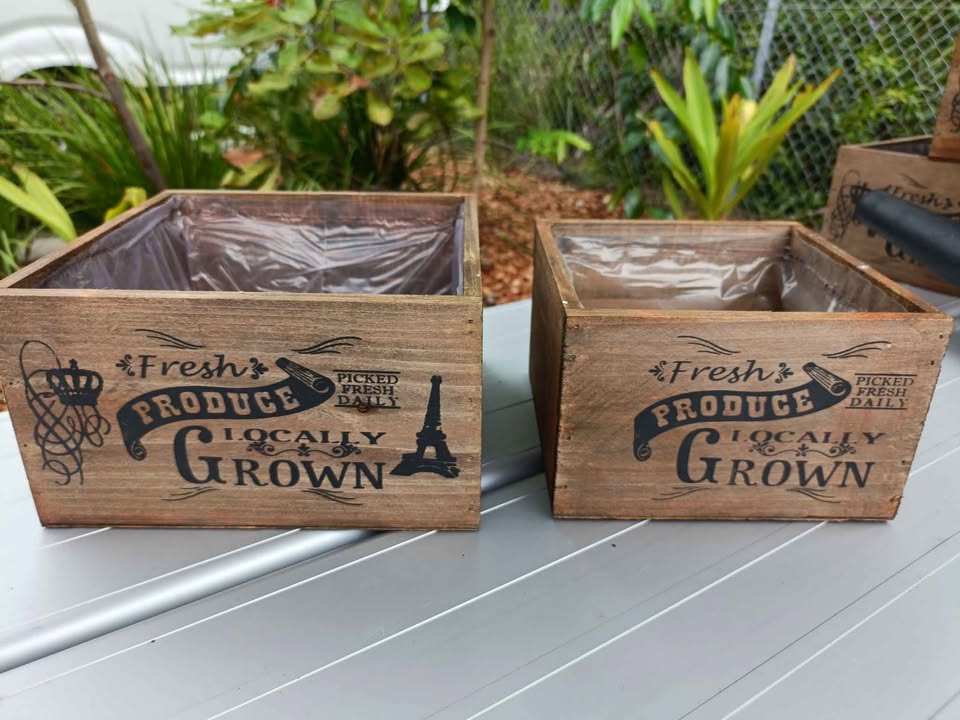 615059075_1405792087993106_5205751333759378438_n