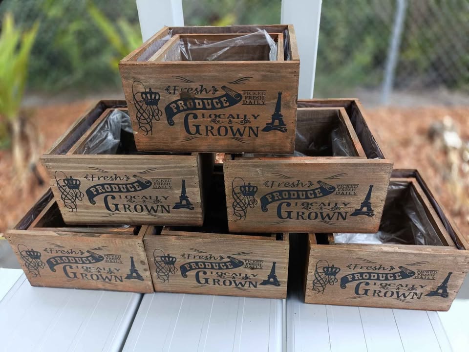 617328514_1551157172769638_2418026101346029060_n