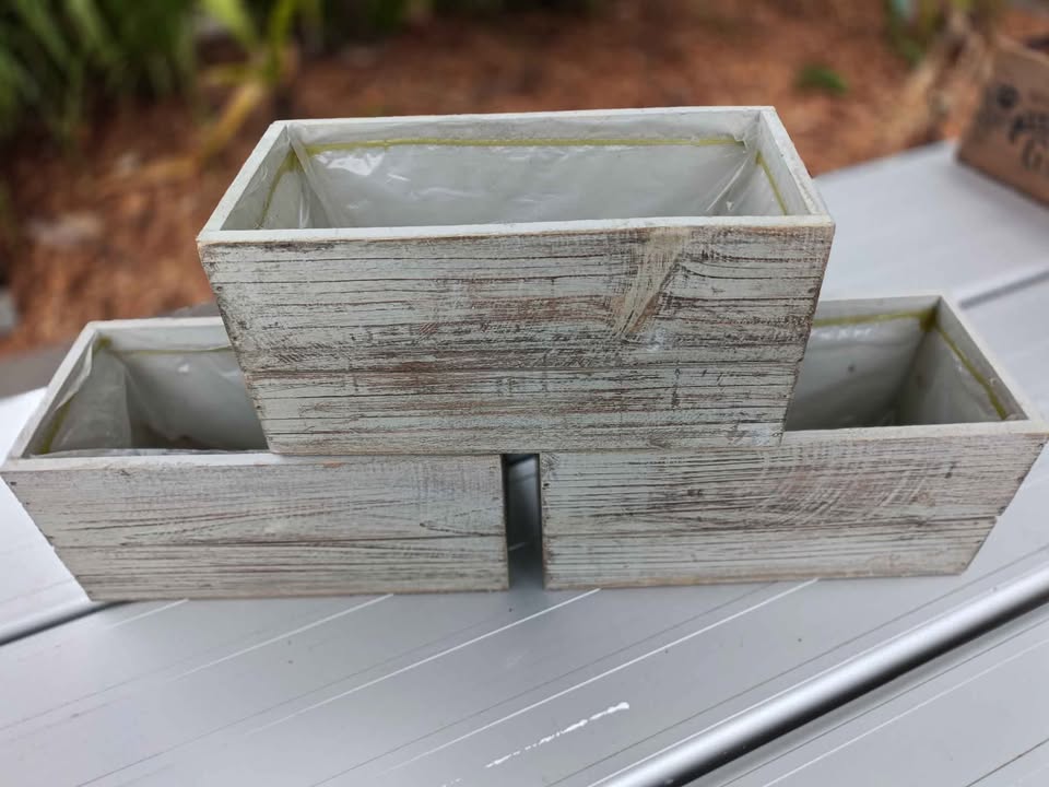 615553391_1368263091193531_1137389012772500200_n