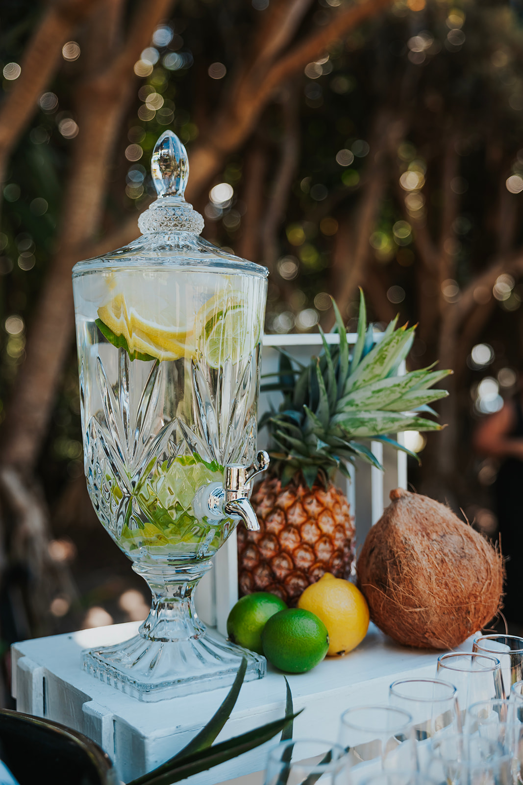 Drinks Dispenser (1)