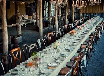 Hire Eclectic chairs 