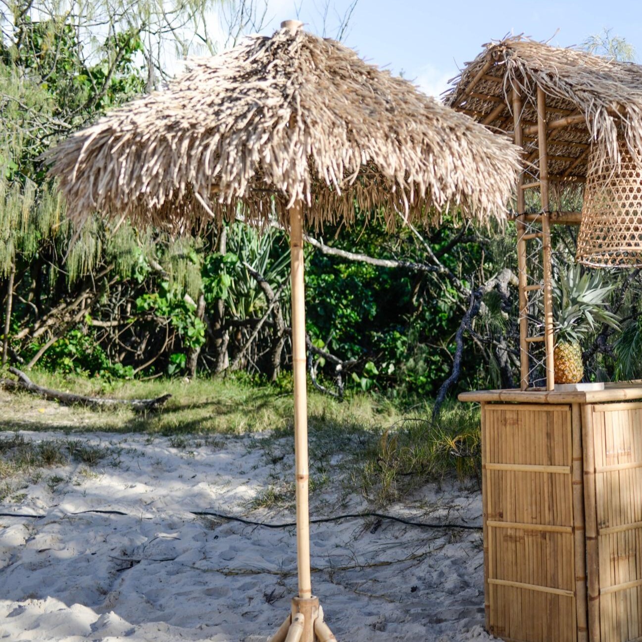 Hire Seagrass umbrella 