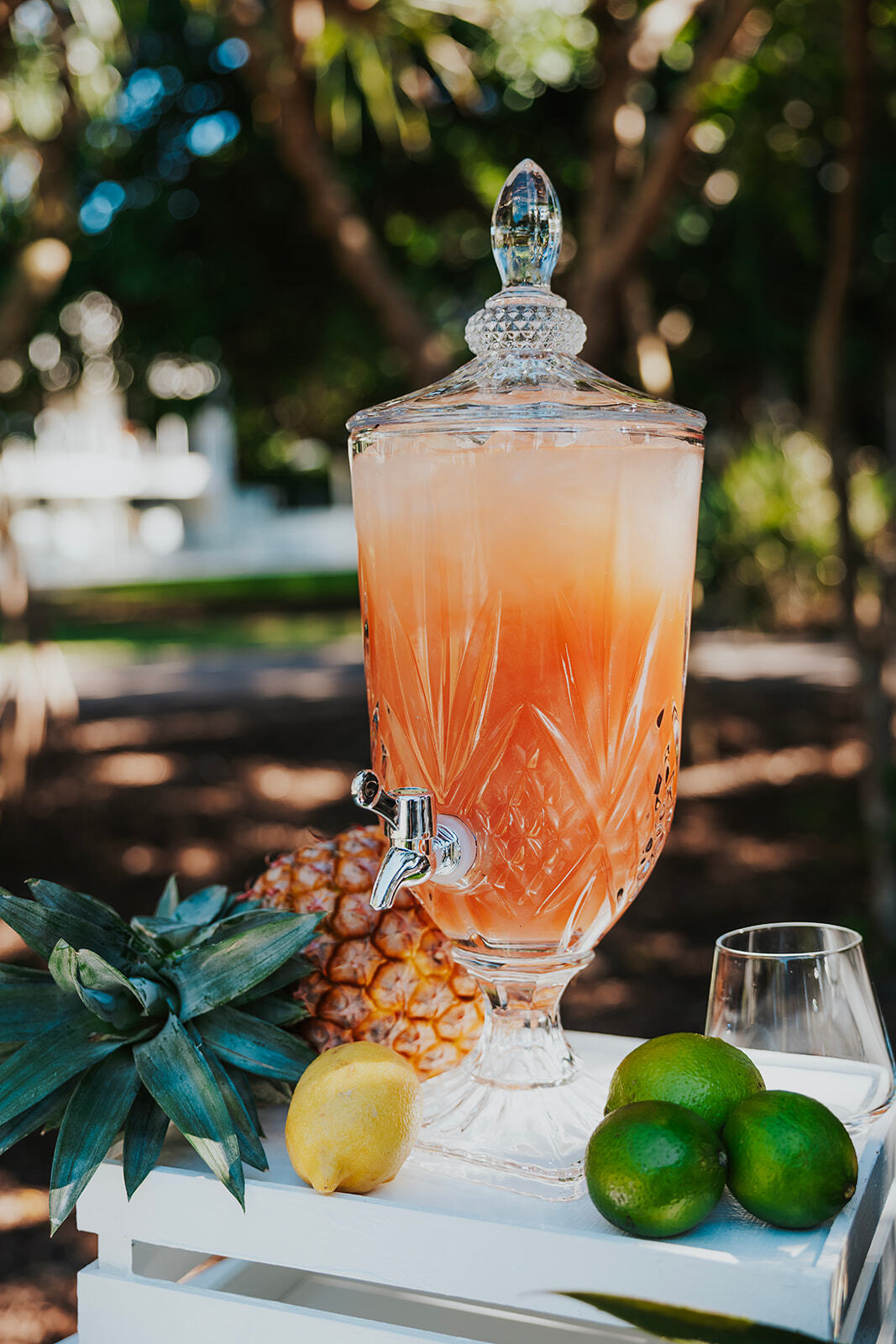 Hire Patterned drinks dispenser 